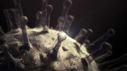 Influenza Influenza