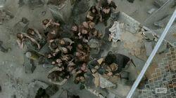 Inmates Inmates