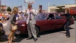 Wild About Hammer Wild About Hammer