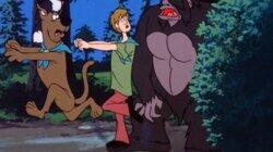 Tenderbigfoot Tenderbigfoot