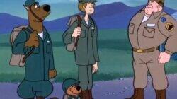 Dog Tag Scooby Dog Tag Scooby