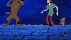 Where's the Werewolf Where's the Werewolf