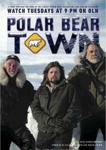 Polar Bear Town Polar Bear Town