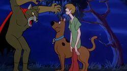 Make a Beeline Away from That Feline Make a Beeline Away from That Feline