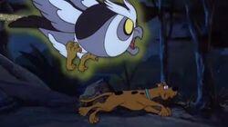 Watch Out! The Willawaw! Watch Out! The Willawaw!