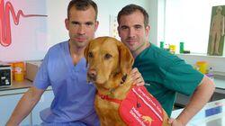 The Dog Who Saves Lives The Dog Who Saves Lives