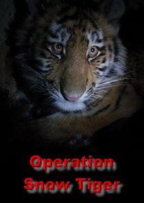Operation Snow Tiger Operation Snow Tiger