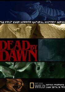 Dead by Dawn Dead by Dawn