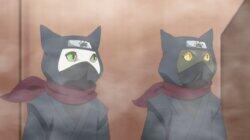Attack of the Ninja Cats Attack of the Ninja Cats