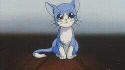 Kitten Lilu and the Secret of the Magic! Kitten Lilu and the Secret of the Magic!