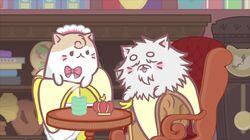 Bananya and the Meowteors, Nya Bananya and the Meowteors, Nya