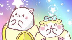 Bananya and the Legendary Bananya, Nya Bananya and the Legendary Bananya, Nya