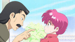 Here's Ranma Here's Ranma