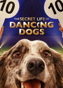 The Secret Life of Dancing Dogs The Secret Life of Dancing Dogs