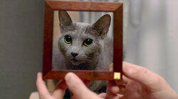 Copycat Copycat
