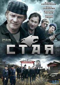 Стая Стая