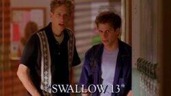 Swallow 13 Swallow 13