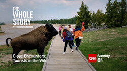 Close Encounters: Tourists in the Wild Close Encounters: Tourists in the Wild