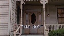 Fly Boy Fly Boy
