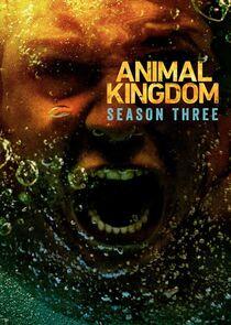 Animal Kingdom - Season 3 Animal Kingdom - Season 3