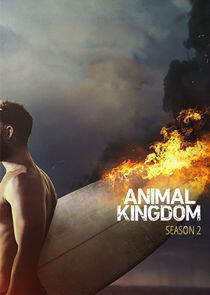Animal Kingdom - Season 2 Animal Kingdom - Season 2