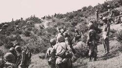 19 November 1950 19 November 1950