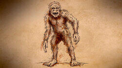 Mystery of the Minnesota Wildman Mystery of the Minnesota Wildman