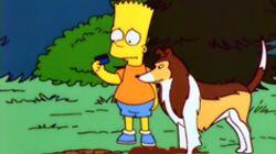 The Canine Mutiny The Canine Mutiny