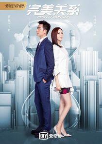 Perfect Partner Perfect Partner