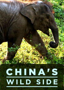 China's Wild Side China's Wild Side