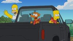 Panic On The Streets Of Springfield Panic On The Streets Of Springfield