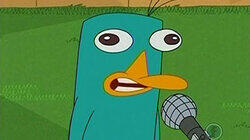 Interview with a Platypus Interview with a Platypus