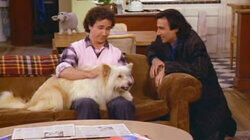 Dog Gone Blues Dog Gone Blues