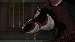 Of Rats and Men Of Rats and Men