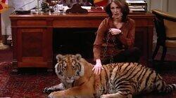 The Lady or the Tiger The Lady or the Tiger