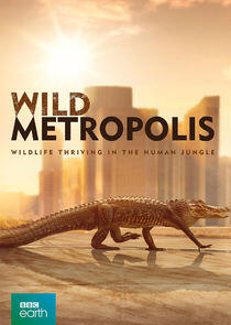 Wild Metropolis Wild Metropolis