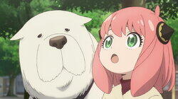 Berlint Panic | The Informant and Nightfall