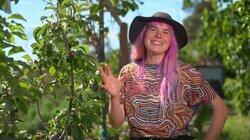 Episode 32 - Spring: Tropical Food Forest & Mini Deck DIY Episode 32 - Spring: Tropical Food Forest & Mini Deck DIY