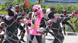 Pirates and Ninjas Pirates and Ninjas
