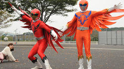 High in the Sky, Flying Wings High in the Sky, Flying Wings