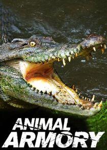 Animal Armory Animal Armory