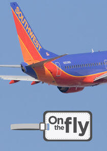 On the Fly On the Fly