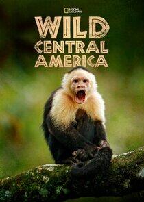 Wild Central America Wild Central America