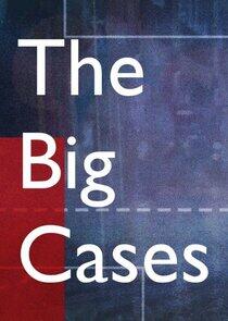The Big Cases The Big Cases