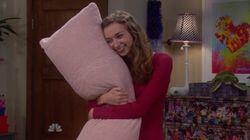Dee Dee's Pillow Dee Dee's Pillow