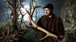 Nature's Wildest Weapons: Horns, Tusks and Antlers Nature's Wildest Weapons: Horns, Tusks and Antlers