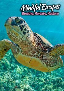 Mindful Escapes: Breathe, Release, Restore Mindful Escapes: Breathe, Release, Restore