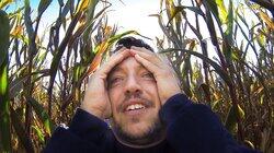 Field of Screams Field of Screams