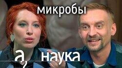 Дмитрий Алексеев: о пересадке кала, пользе грязных рук и антибиотиках в еде Дмитрий Алексеев: о пересадке кала, пользе грязных рук и антибиотиках в еде