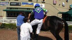 Dirty Man-Horse Dirty Man-Horse